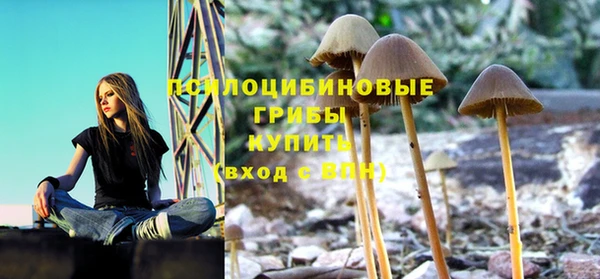 СК Алексин