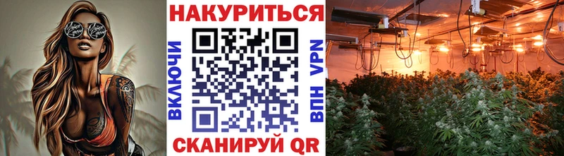 Марихуана гибрид  Адыгейск 